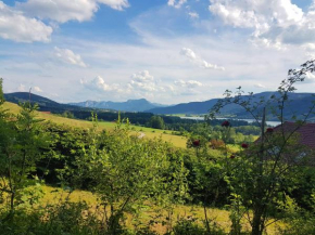 Landhaus Riess, Zell Am Moos, Österreich
